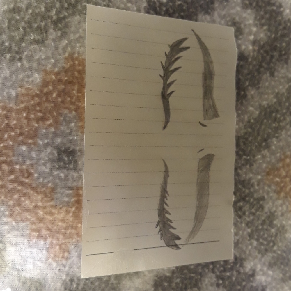 A drawing of a womans eyes